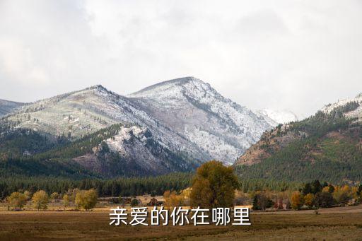 亲爱的你在哪里