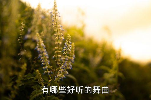 舞曲歌曲大全100首，有哪些好听的舞曲