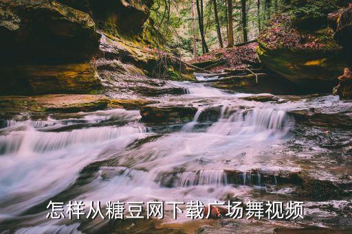 怎样从糖豆网下载广场舞视频