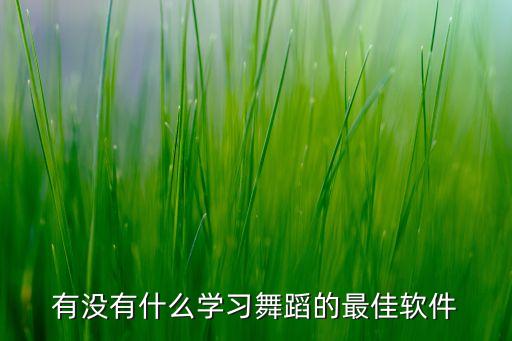 学舞蹈下载什么软件比较好，有没有什么学习舞蹈的最佳软件