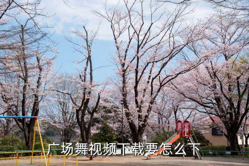 青春广场舞如何下载，舞动青春广播操下载地址