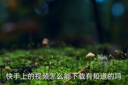 快手在线观看免费下载视频，手机快手如何下载别人的视频方法简单点