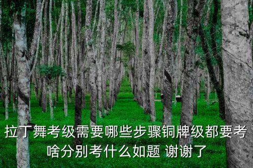 拉丁舞考级需要哪些步骤铜牌级都要考啥分别考什么如题 谢谢了