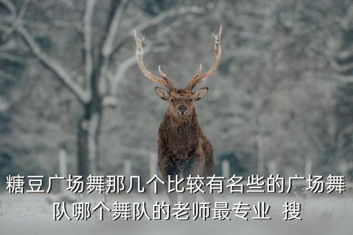 糖豆广场舞那几个比较有名些的广场舞队哪个舞队的老师最专业  搜