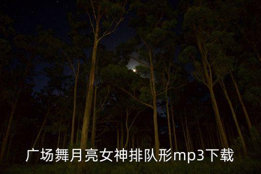 广场舞月亮女神排队形mp3下载