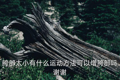 胯部太小有什么运动方法可以增胯部吗谢谢
