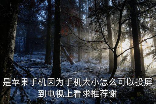 是苹果手机因为手机太小怎么可以投屏到电视上看求推荐谢