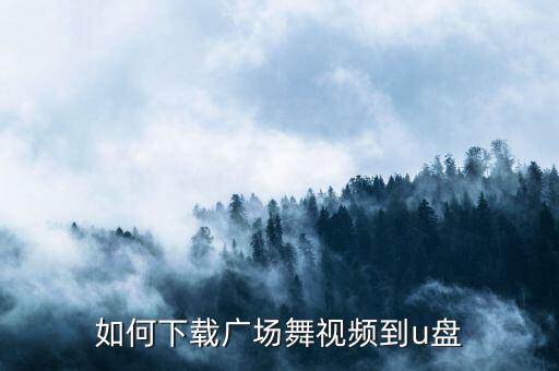 广场舞如何下载到u盘，如何下载广场舞视频到u盘