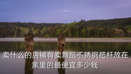 卖什么的店铺有卖舞蹈不锈钢把杆放在家里的最便宜多少钱
