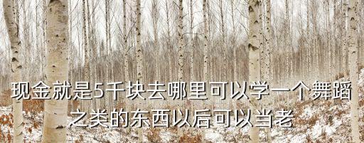 现金就是5千块去哪里可以学一个舞蹈之类的东西以后可以当老