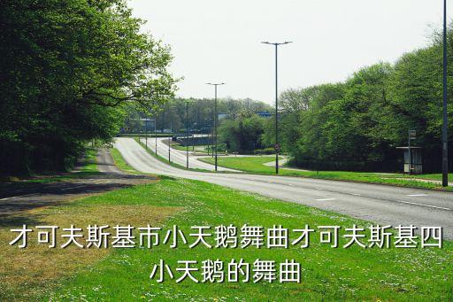才可夫斯基市小天鹅舞曲才可夫斯基四小天鹅的舞曲