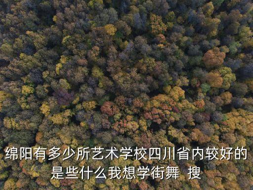 绵阳有多少所艺术学校四川省内较好的是些什么我想学街舞  搜