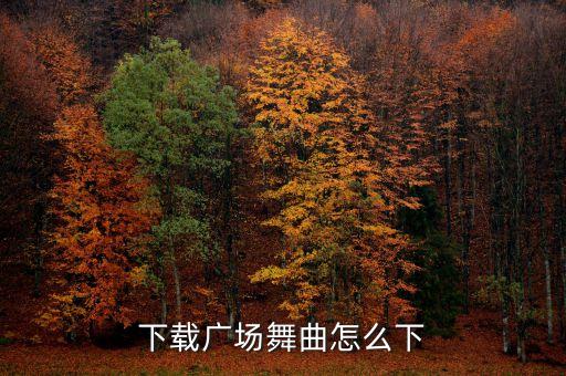 如何下载广场舞没钱不好过舞曲，下载广场舞曲怎么下