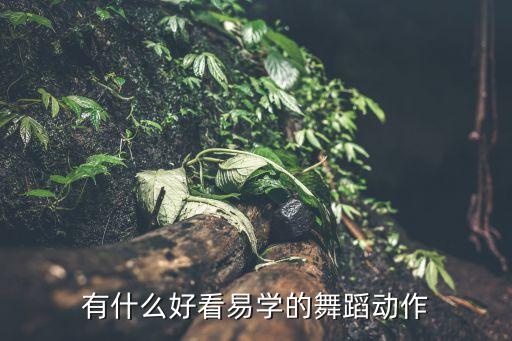 有什么好看易学的舞蹈动作