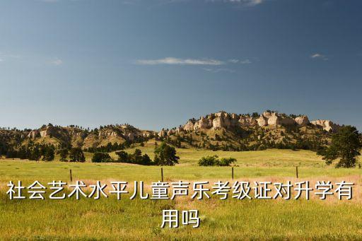社会艺术水平儿童声乐考级证对升学有用吗
