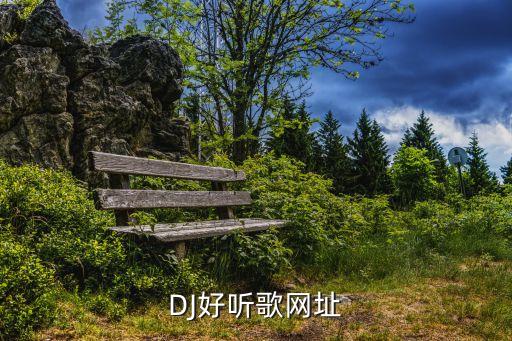 DJ好听歌网址