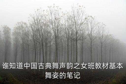 古典舞基本舞姿教案，舞蹈有哪些基本要素