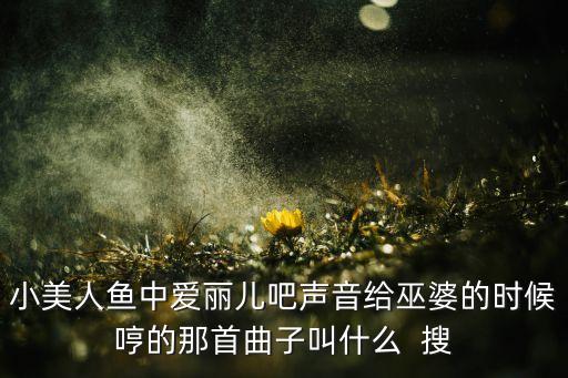 小美人鱼中爱丽儿吧声音给巫婆的时候哼的那首曲子叫什么 搜