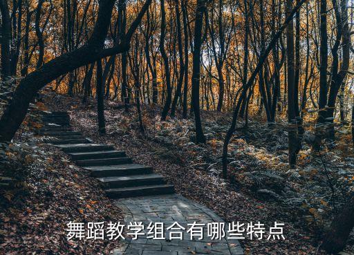 舞蹈教学组合有哪些特点