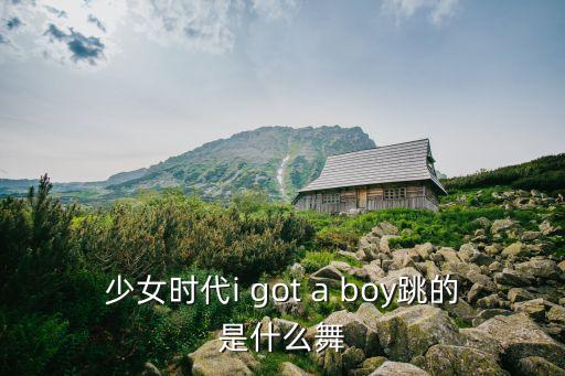 少女时代the boys 是什么舞蹈，少女时代i got a boy跳的是什么舞