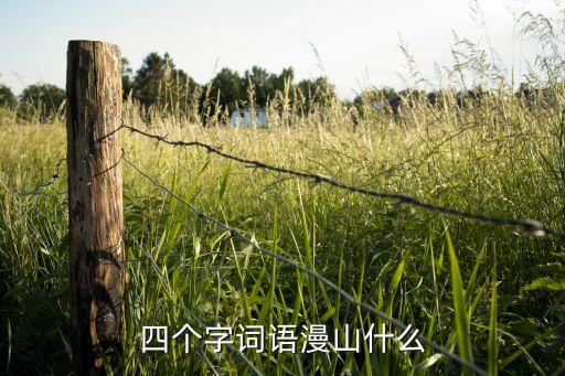 四个字词语漫山什么