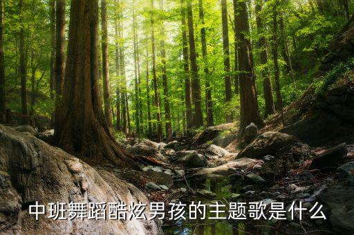 中班舞蹈酷炫男孩的主题歌是什么