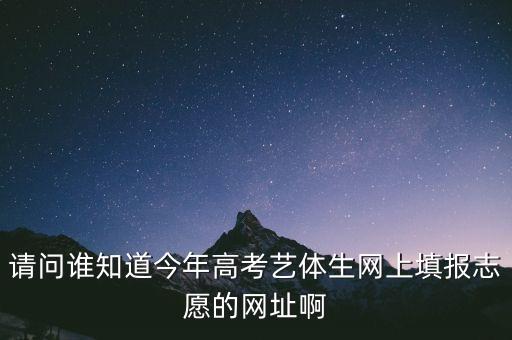 针对艺术生的高考报考网站，请问谁知道今年高考艺体生网上填报志愿的网址啊