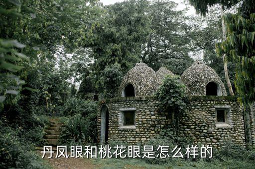 丹凤眼和桃花眼是怎么样的