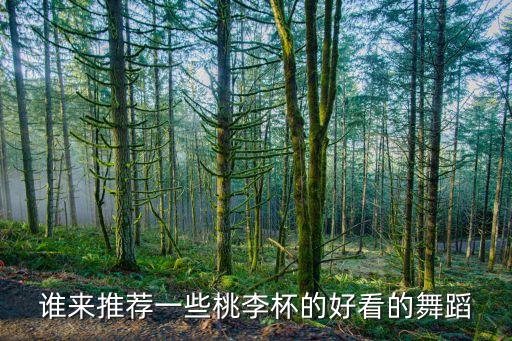 谁来推荐一些桃李杯的好看的舞蹈