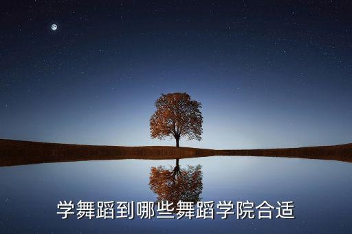 学舞蹈到哪些舞蹈学院合适