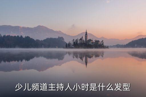 少儿频道主持人小时是什么发型