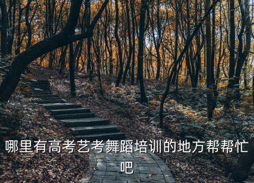 舞蹈机构艺考，济南舞蹈艺考培训机构有哪几家
