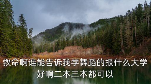 救命啊谁能告诉我学舞蹈的报什么大学好啊二本三本都可以