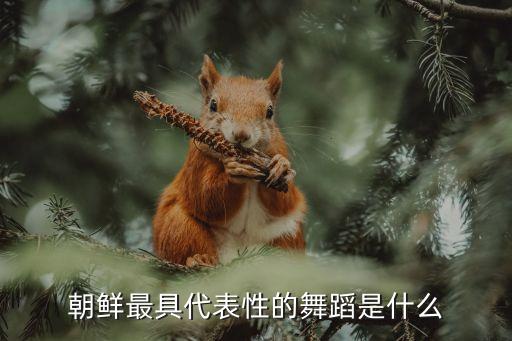 朝鲜最具代表性的舞蹈是什么