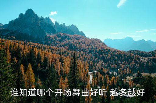 谁知道哪个开场舞曲好听 越多越好