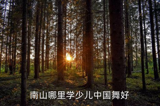 儿童中国舞哪里教的好处，大华少儿舞蹈哪里教得好