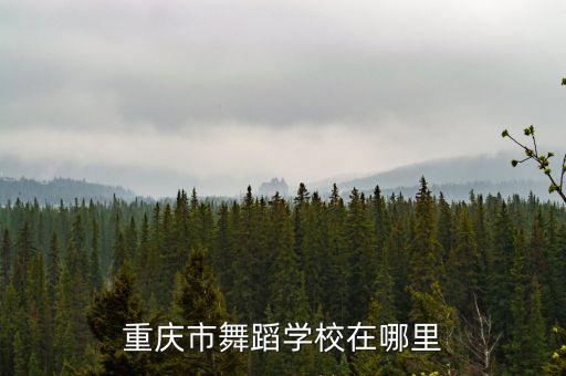 重庆市舞蹈学校在哪里