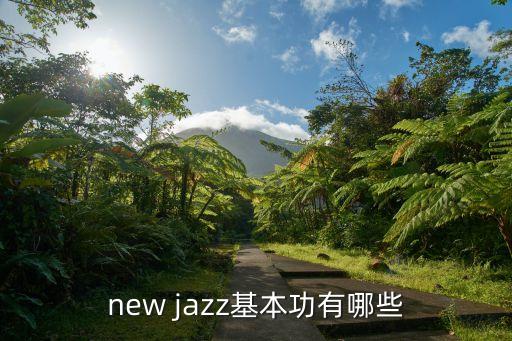 new jazz基本功有哪些