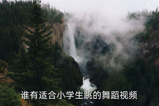 谁有适合小学生跳的舞蹈视频