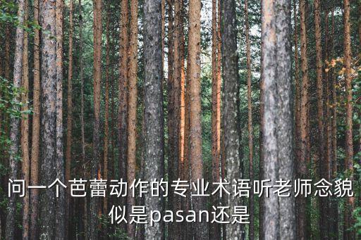 问一个芭蕾动作的专业术语听老师念貌似是pasan还是