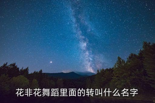花非花舞蹈里面的转叫什么名字