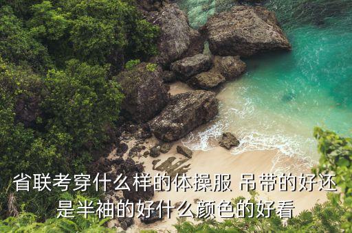 省联考穿什么样的体操服 吊带的好还是半袖的好什么颜色的好看
