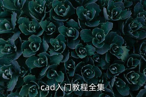 初学者怎么学16步视频教学视频，cad入门教程全集