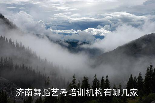济南拉丁舞艺考培训机构排名，济南哪里学拉丁比较好