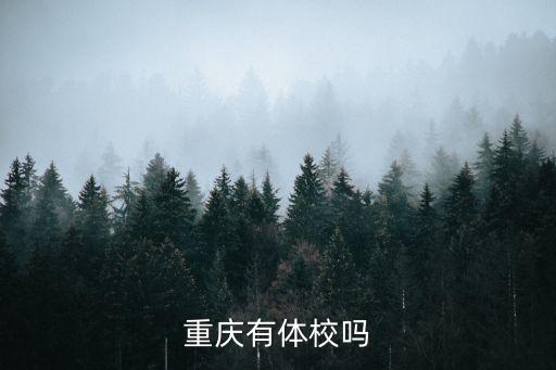 重庆有体校吗