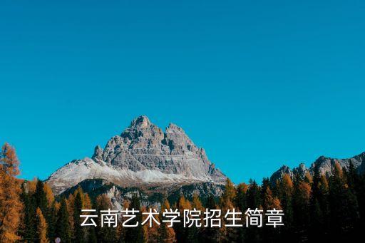 云南艺术学院招生简章