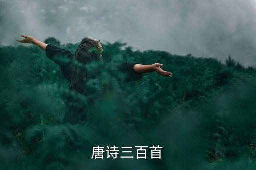 唐诗三百首