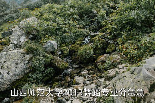 山西师范大学2013舞蹈专业分急急