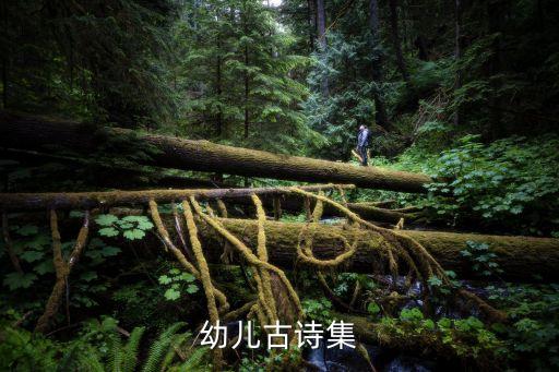 三百首幼儿早教唐诗，幼儿古诗三百首朗诵