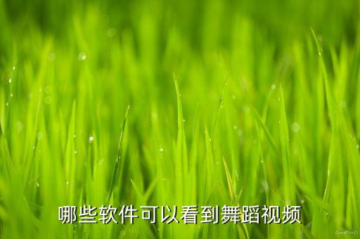 哪些软件可以看到舞蹈视频